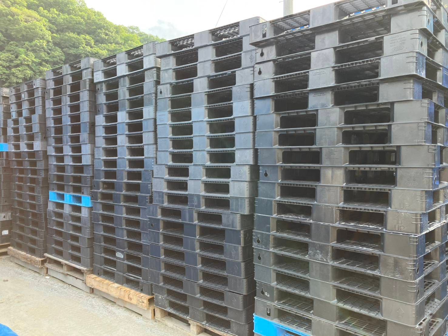 中古 プラスチックパレット 画像1