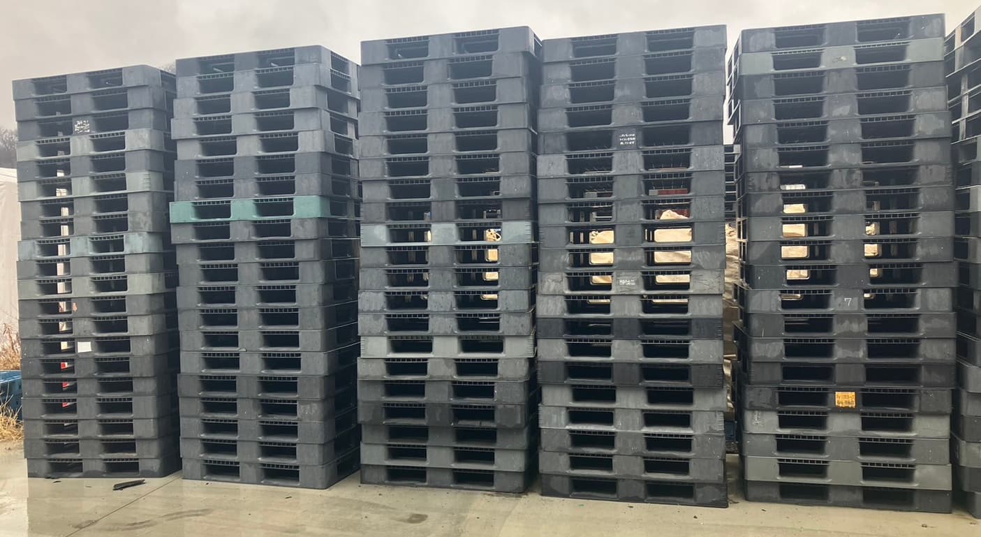 中古 プラスチックパレット 画像1