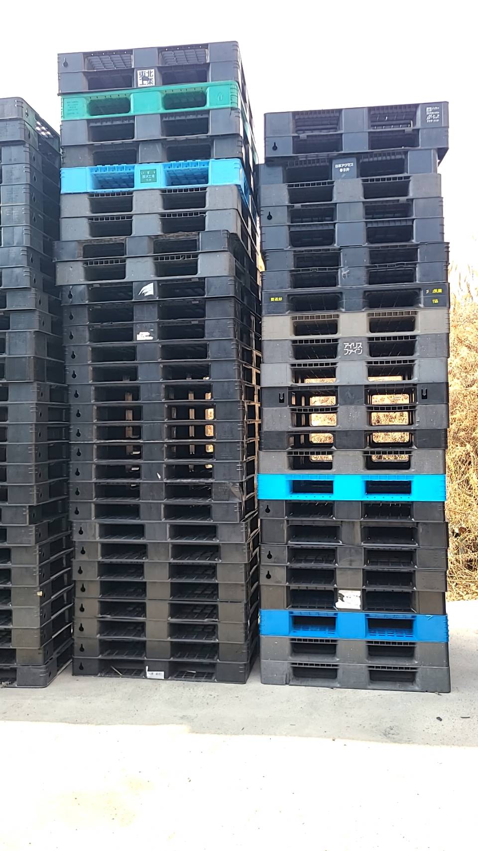 中古 プラスチックパレット